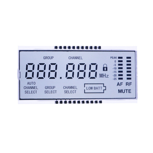 Pantalla LCD de segmento de medidor digital